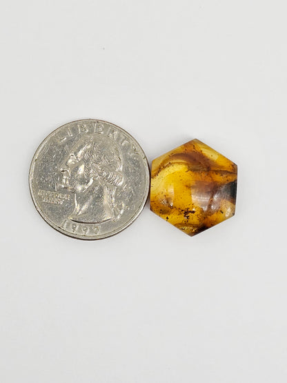 Amber Hexagon Cabochon