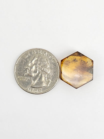 Amber Hexagon Cabochon