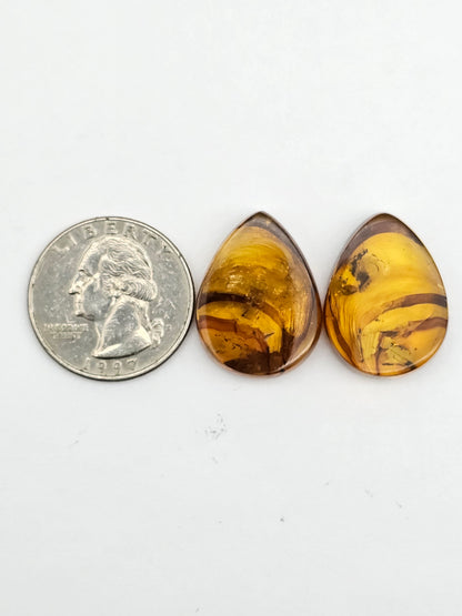 Amber authentic cabochon pair large