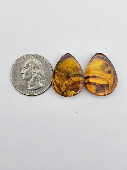 Amber authentic cabochon pair large