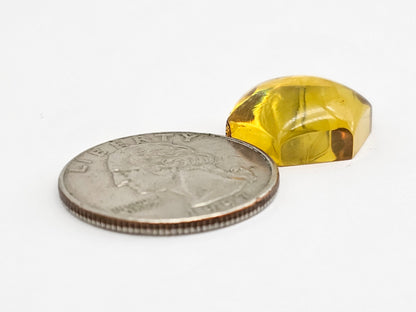 Amber Hexagon Cabochon