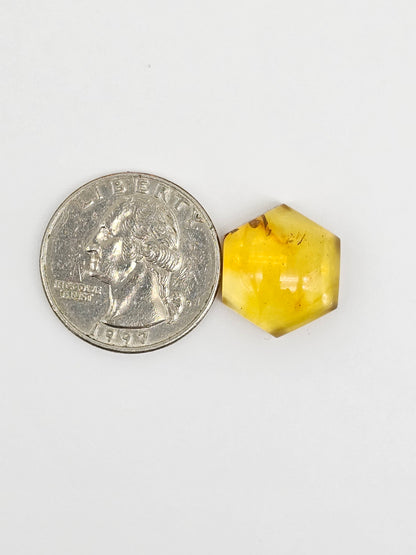 Amber Hexagon Cabochon