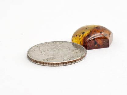 Amber Hexagon Cabochon