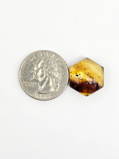 Amber Hexagon Cabochon