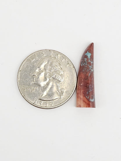 Mexican Cantera Opal Fang Cabochon