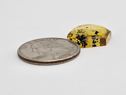 Amber Hexagon Cabochon
