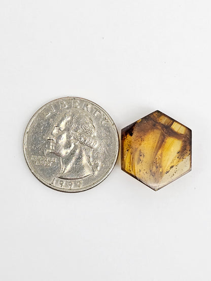 Amber Hexagon Cabochon