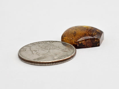 Amber Hexagon Cabochon