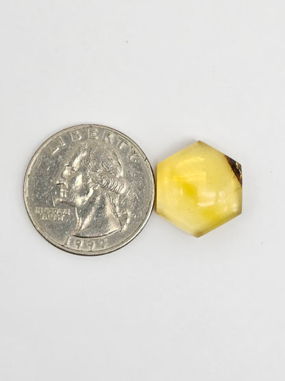 Amber Hexagon Cabochon