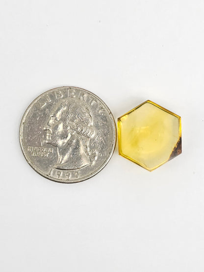 Amber Hexagon Cabochon