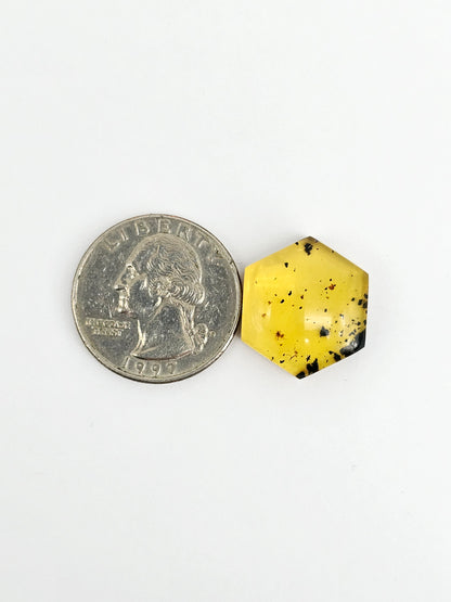 Amber Hexagon Cabochon