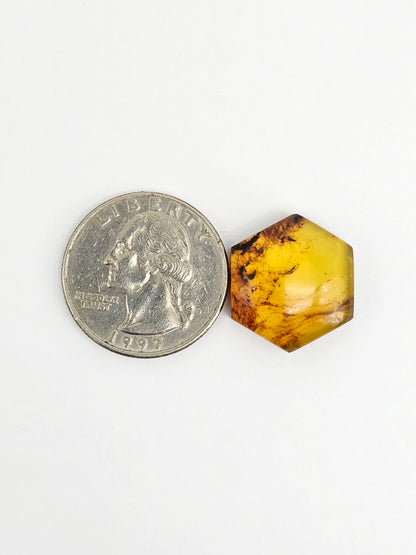 Amber Hexagon Cabochon