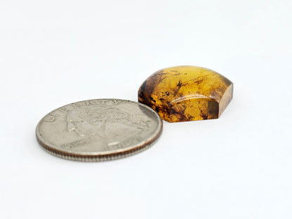 Amber Hexagon Cabochon