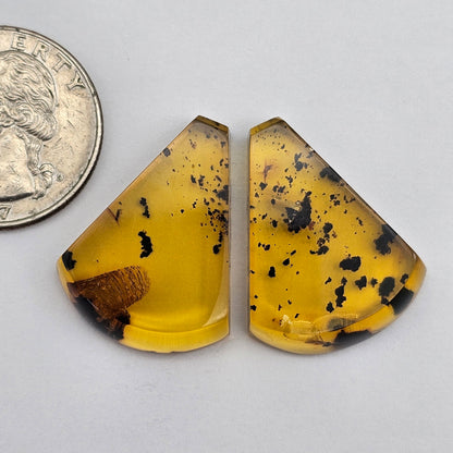 Amber authentic cabochon pair large