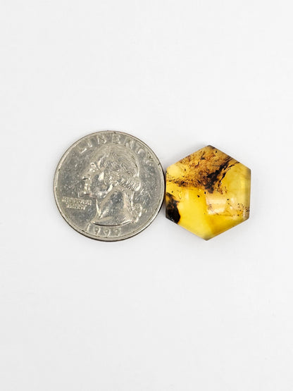 Amber Hexagon Cabochon