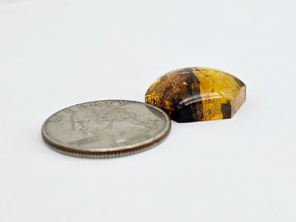 Amber Hexagon Cabochon