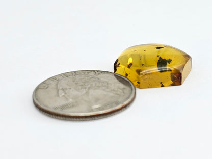 Amber Hexagon Cabochon