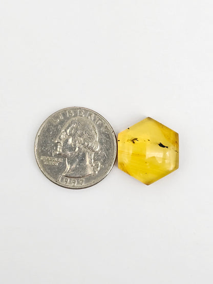 Amber Hexagon Cabochon