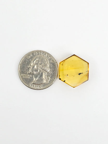 Amber Hexagon Cabochon