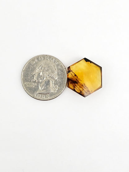 Amber Hexagon Cabochon