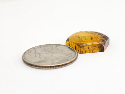 Amber Hexagon Cabochon