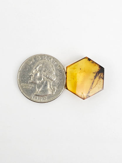 Amber Hexagon Cabochon