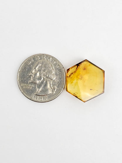 Amber Hexagon Cabochon