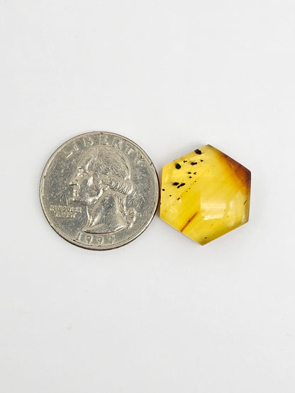 Amber Hexagon Cabochon