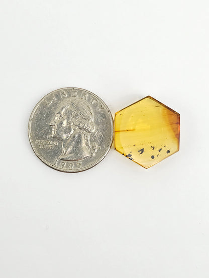 Amber Hexagon Cabochon
