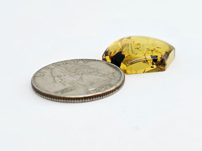 Amber Hexagon Cabochon