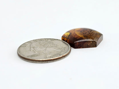 Amber Hexagon Cabochon