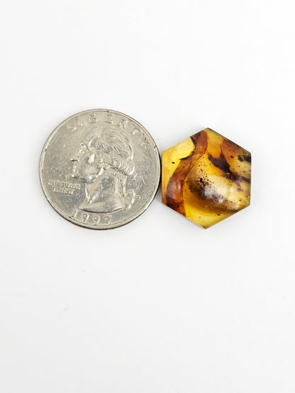 Amber Hexagon Cabochon