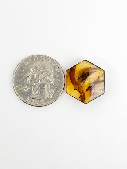 Amber Hexagon Cabochon