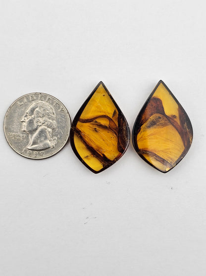 Amber authentic cabochon pair large