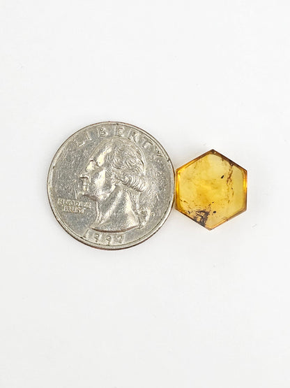 Amber Hexagon Cabochon