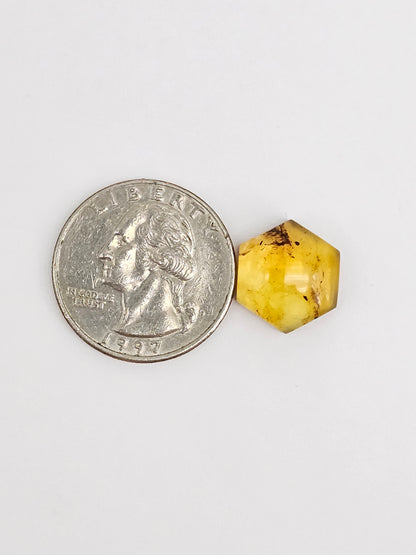 Amber Hexagon Cabochon