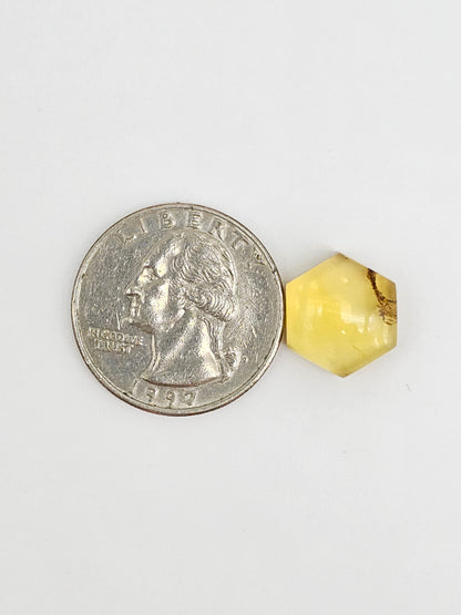 Amber Hexagon Cabochon