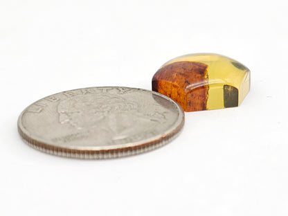 Amber Hexagon Cabochon