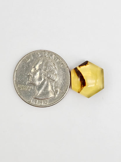 Amber Hexagon Cabochon