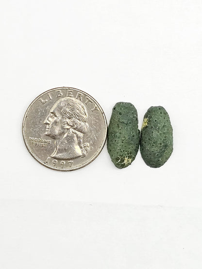 Tabasco Geode Cabochon Pair | Natural Mexican Geode