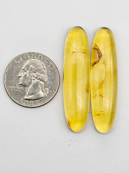 Amber authentic cabochon pair large
