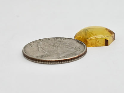 Amber Hexagon Cabochon