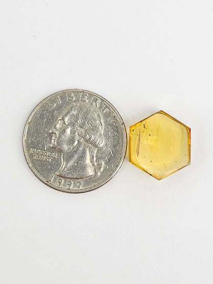 Amber Hexagon Cabochon