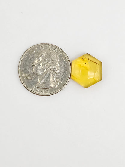 Amber Hexagon Cabochon
