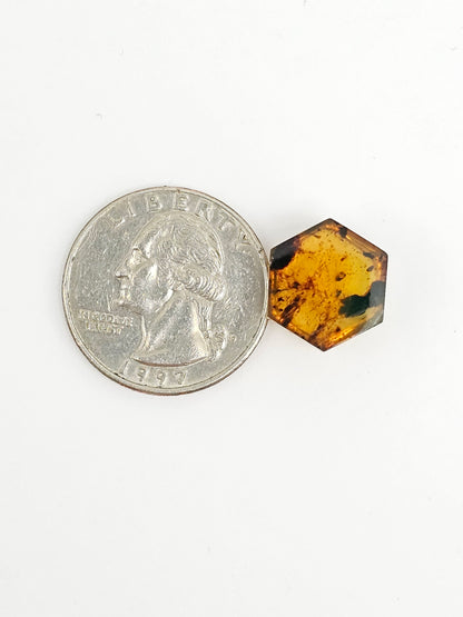 Amber Hexagon Cabochon