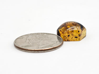Amber Hexagon Cabochon