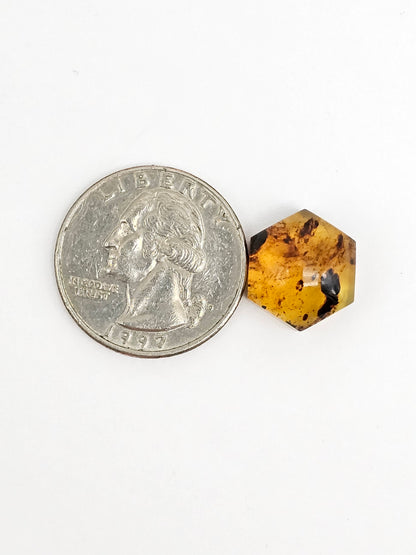 Amber Hexagon Cabochon
