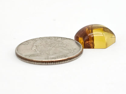 Amber Hexagon Cabochon
