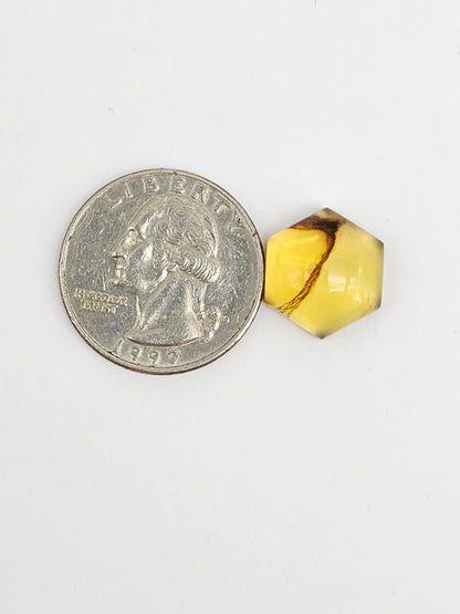 Amber Hexagon Cabochon