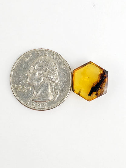 Amber Hexagon Cabochon